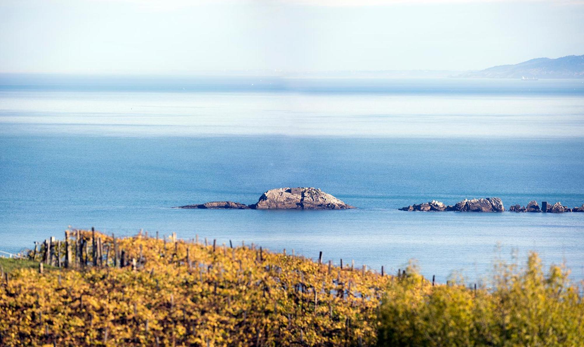 Aterian Euromar II Apartman Zarautz Kültér fotó